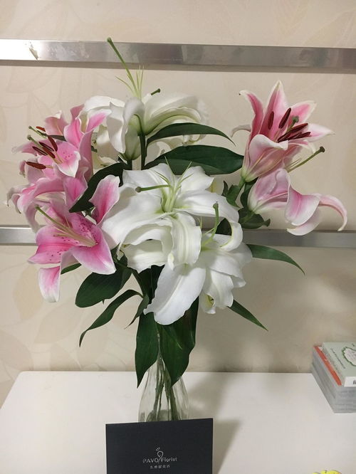 百合花蕾掉落，探讨其能否绽放及原因