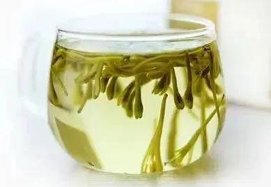 菊花茶可以浇花吗？这样用