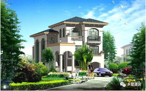 二、 美人蕉：色彩斑斓，观赏价值高