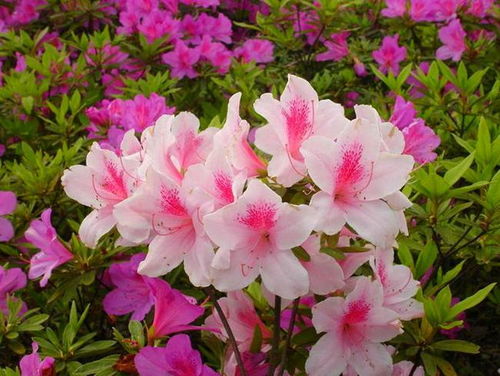 环境原因了解一下