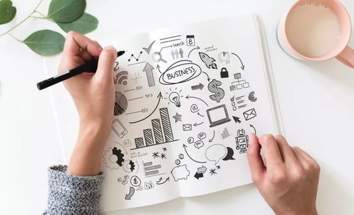 “单位植物养护租金=养护成本+管理费用