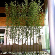 竹子在古典园林中的运用