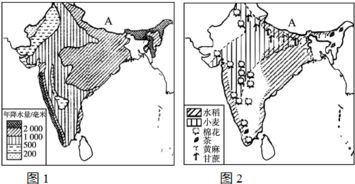 印度水稻和小麦主要分布在哪些地区？