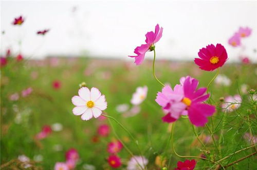 第一步：准备工作