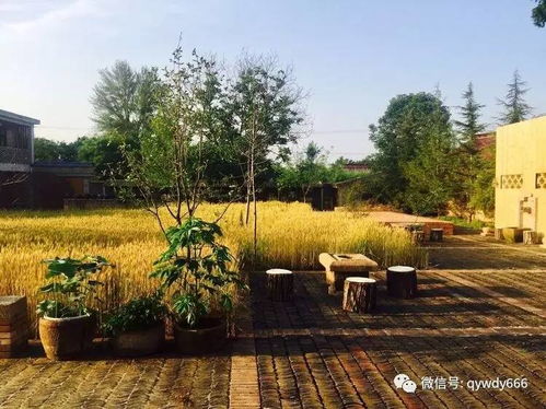 园林景观设计的原则