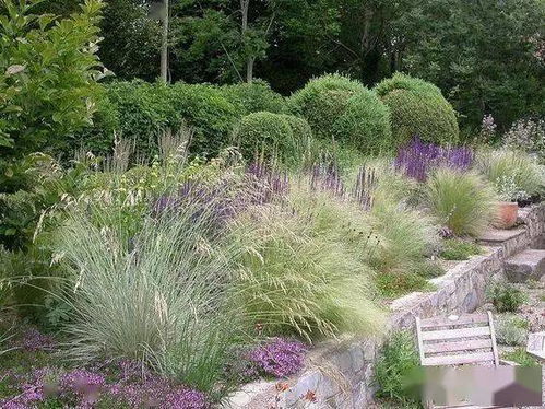 种草的乐趣：如何选择种植方法和时间