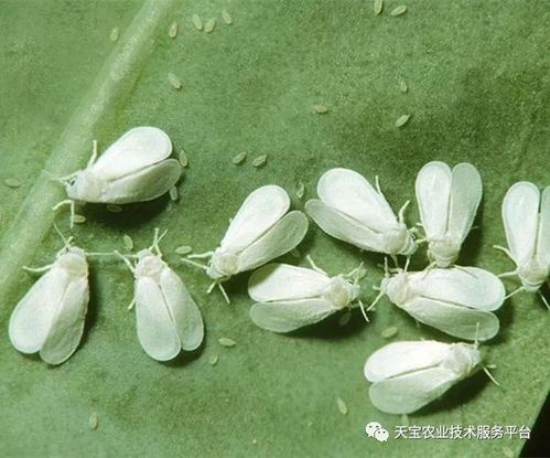 新手必知：三个基础原则