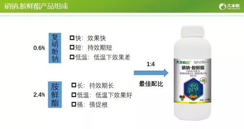 三、 建议定期使用百菌清进行防范