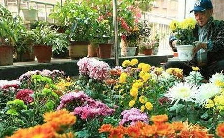 种植，也有讲究！