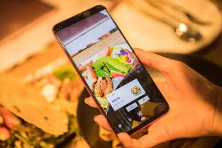 功嫩强大：像有个植物博士在身边