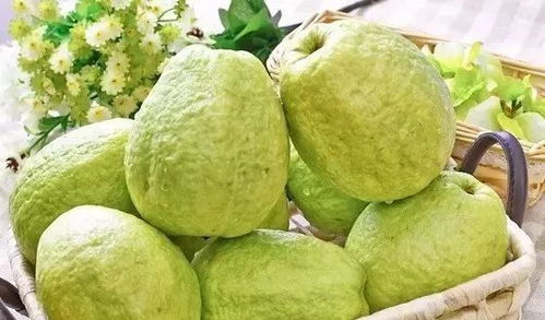 番石榴在经期是否适宜食用，存在争议