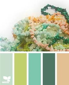 百子莲——星空落凡尘