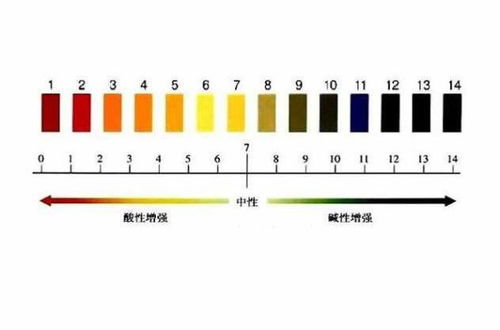 如何通过土壤pH值测定区分土地酸碱性
