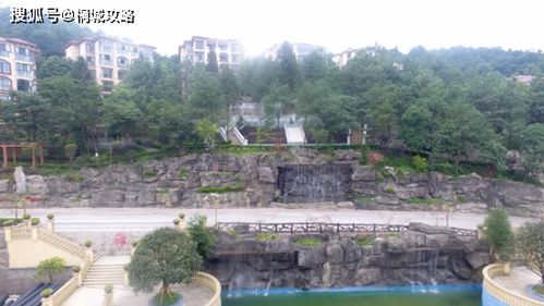 合作项目的特色