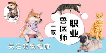 幼兔断奶需注意营养均衡，避免应激反应