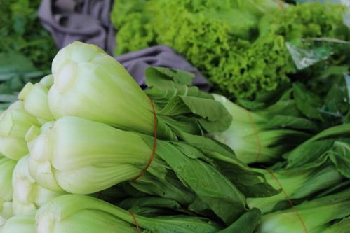 不打农药的蔬菜