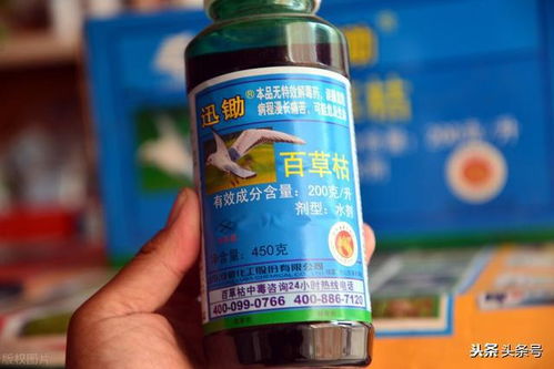 喝一小袋多菌灵的危害，你知道吗？