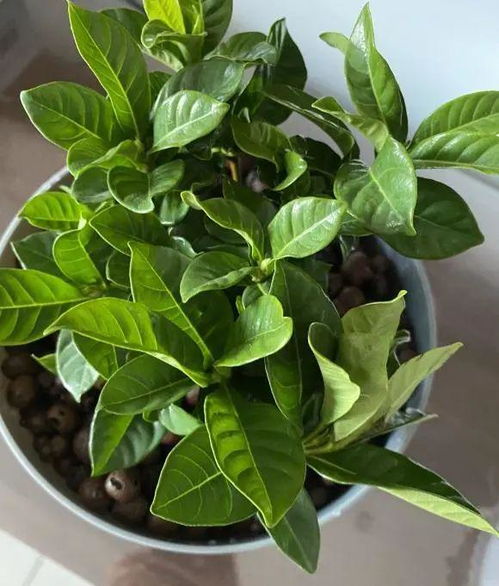 虽然本文重点讲低温防护，但夏季高温同样致命。