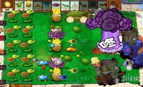 坚固的盾牌与隐忍的杀手