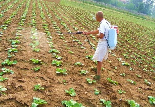 人工除草太累，机械除草行不行？