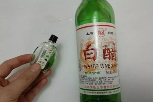 白醋：天然的蚊虫杀手
