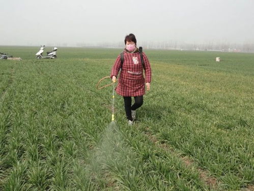 草甘膦：广谱杀手