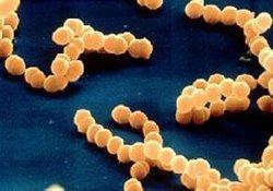 一、 氯钠森杀菌剂简介