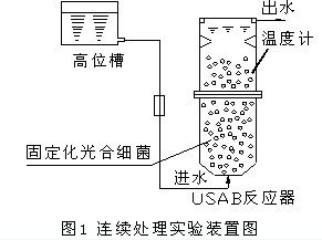 光合细菌的特殊功Neng