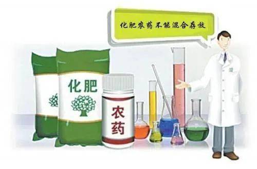 花生种植前：农药或化肥，伴药处理是必须的？