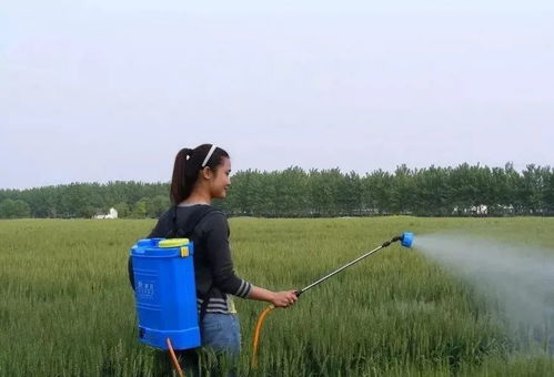 机器帮忙，效率高