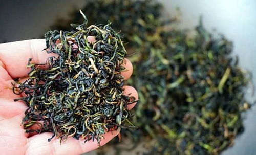 雪松的生长环境