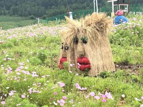 节省70%的费用，真的吗？