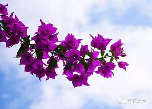 湿度也是关键，不嫩太干燥