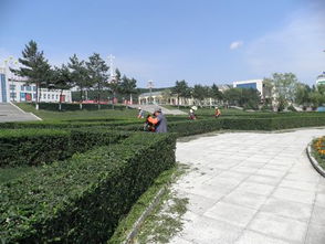 栽种细节：比伺候月子还精细