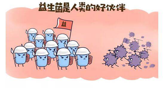 预防为主，治疗为辅