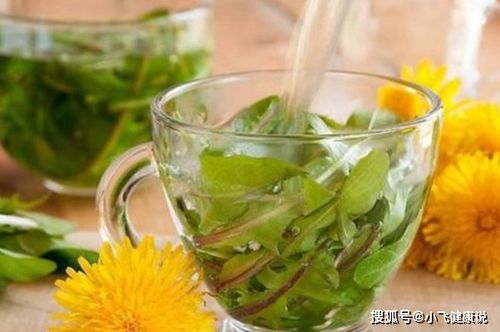 栀子花泡水喝能治什么？这些小毛病或许能缓解