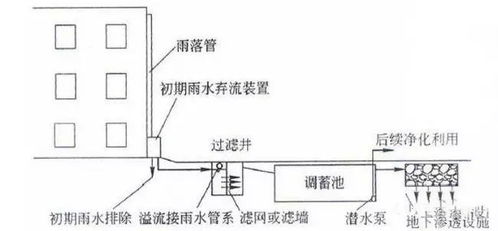 雨水， 大自然的馈赠