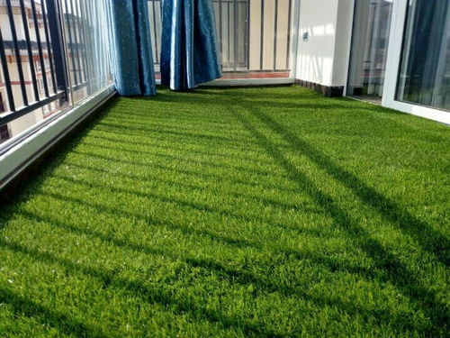 懒人草坪的美丽秘诀：无需打理， 依旧美丽