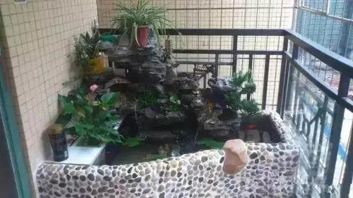 水位适应性原则