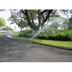 园林设计，让植物和建筑谈恋爱