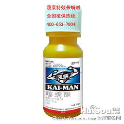 地毯虫的烦恼，杀虫剂的选择大揭秘