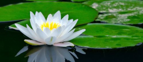 种植时间，这可是个讲究