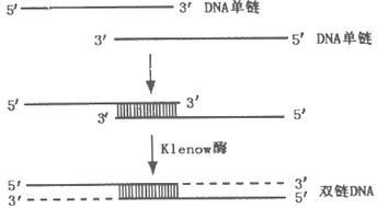 甲维盐的广泛适用性与独特杀虫谱