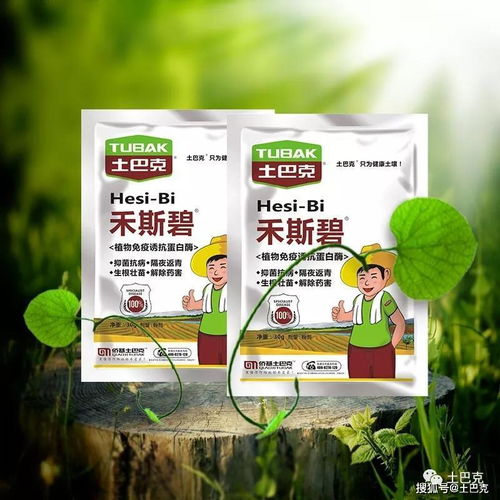 用量要恰到好处