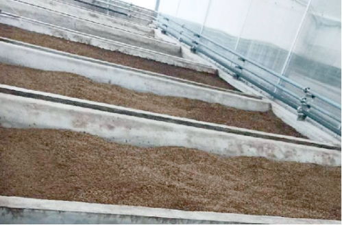 黄粉虫养殖利用厨余垃圾等废弃物作为饲料