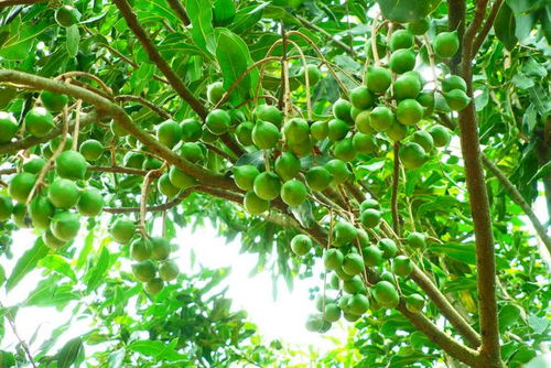 价格差异大， 原因有三