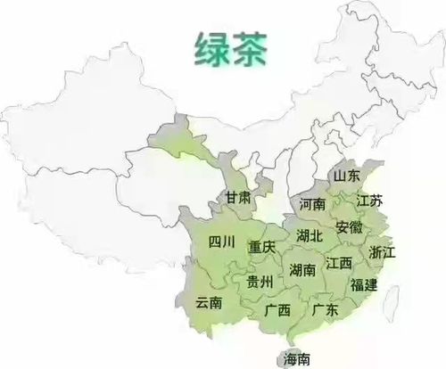 广州：四季常绿， 花团锦簇