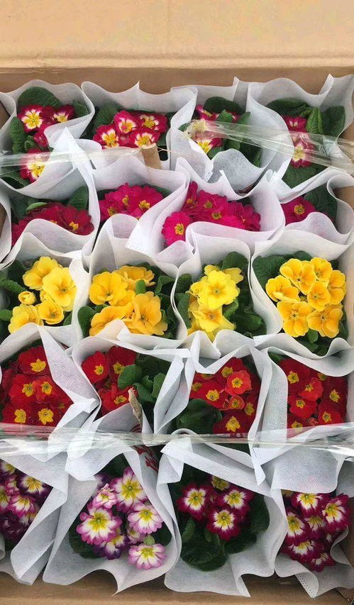 不花钱的增值福利：如何获得优惠