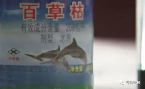 三、百草枯的威力，你敢想象吗？