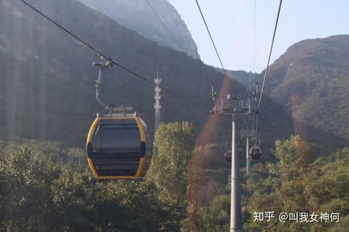 河南郑州附近有哪些知名的大型鱼饲料生产厂家？